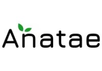 Anatae