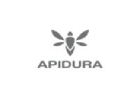 Apidura