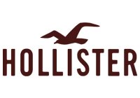 Hollister Co