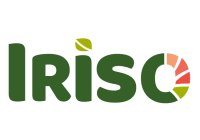 Iriso