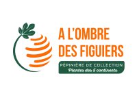 Achat Vente Palmiers