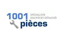 1001 pieces