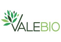Valebio