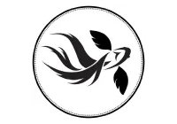 Poisson Plume