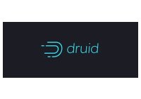 Druids