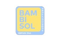 Bambisol