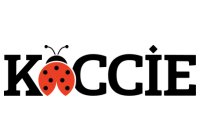 Koccie