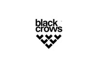 Black Crows