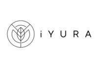 The Ayurveda Experience