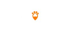 Vetorino