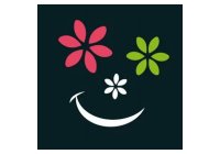Les fleurs de nicolas