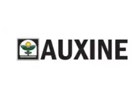 auxine