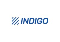 Indigo Print
