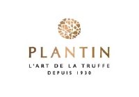 truffe plantin