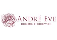 Roses André Eve