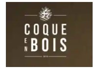 COQUE EN BOIS