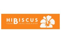 Hibiscus Fleurs