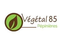 Vegetal85