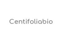 Centifolia