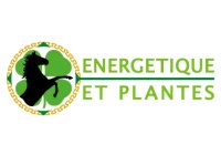 Energétique et Plantes