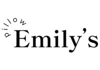 Emily'S Pillow