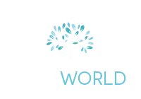 Paraworld