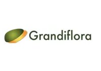 Grandiflora