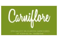 Carniflore