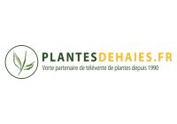 plantes de haies