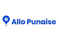 Allopunaise