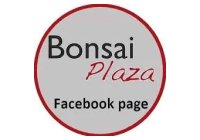 Bonsai Plaza
